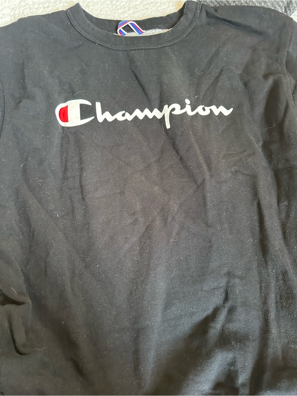 Champion Black Sweatshirt with White Script and Red Logo Accent